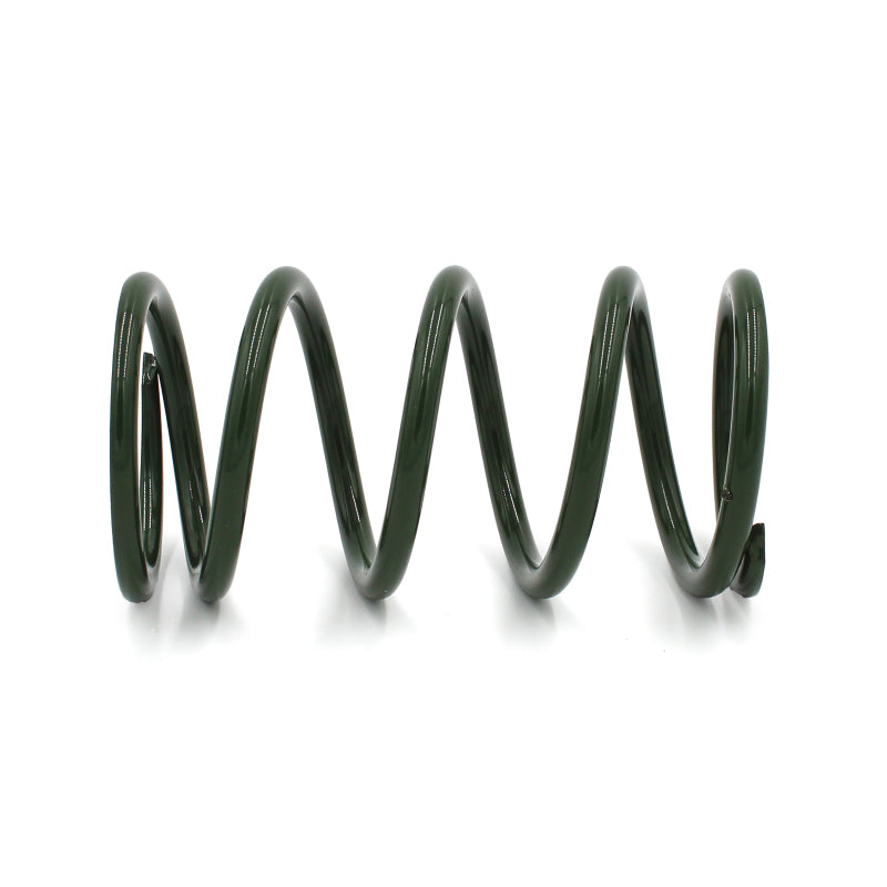 EPI 24+ Polaris RZR XP/4 / Xpedition XP/ADV Secondary Clutch Spring Green