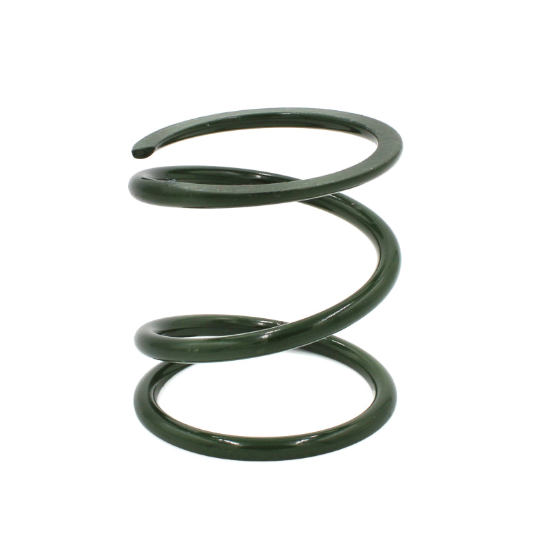 EPI 24+ Polaris RZR XP 1000/ Xpedition XP/ADV Primary Clutch Spring Dark Green