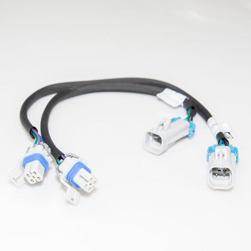 Photo - Primary