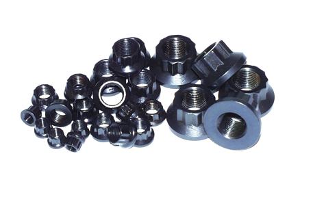 ARP M10 x 1.0 12pt Nut Kit