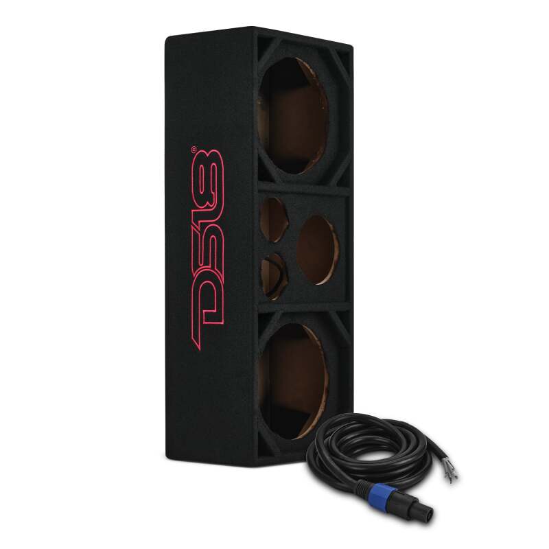 DS18 Ported Enclosure 2x 10in Mids 2x 3.6in Tweeters & 1 x 5.7in Horn Diffuser -Black Carpet