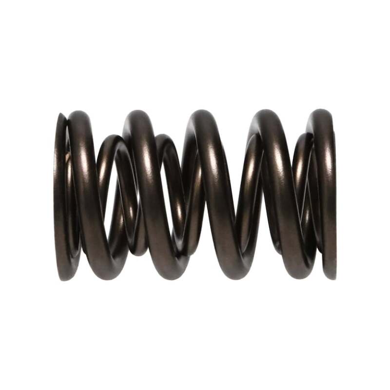 Manley Valve Spring, SPRING-1.610 DOUBLE