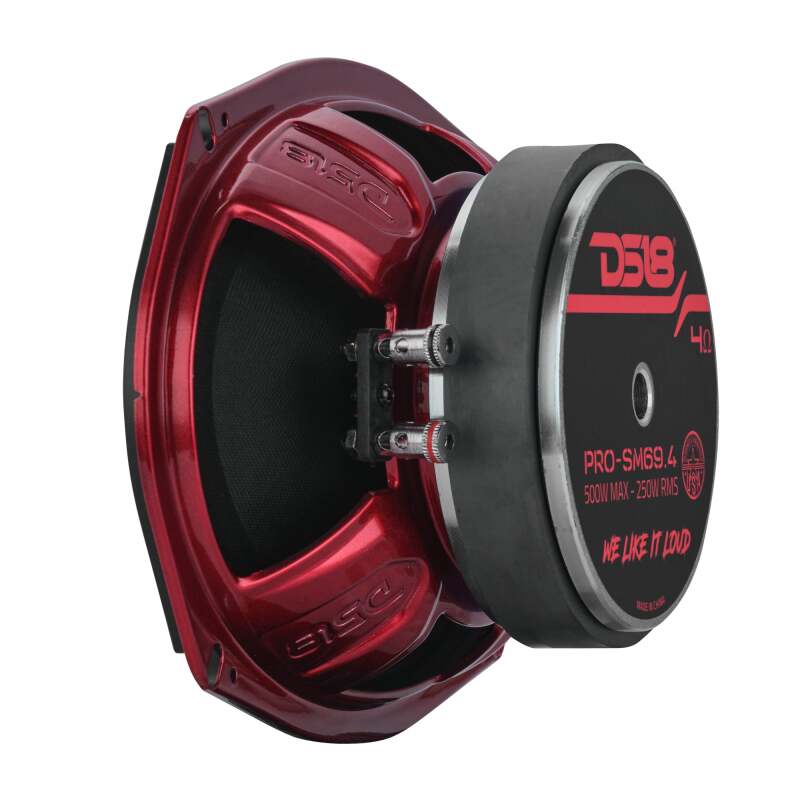 DS18 6x9 250 Watts RMS 4ohm Mid-Range Shallow