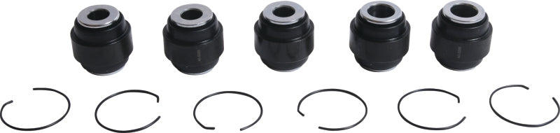 All Balls Racing Rear Ind. Suspension Kit