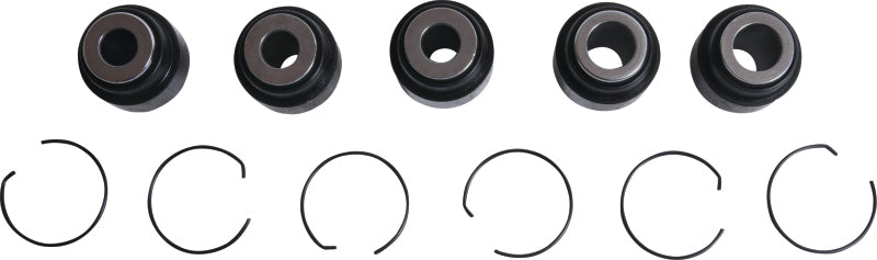 All Balls Racing Rear Ind. Suspension Kit