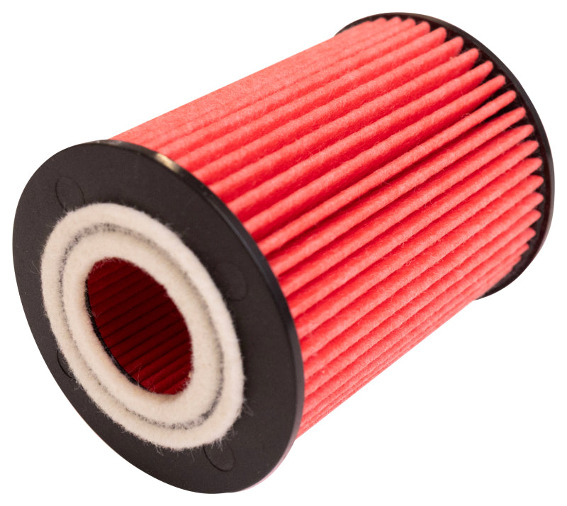 K&N Oil Filter Automotive 20-26 Great Wall Cannon