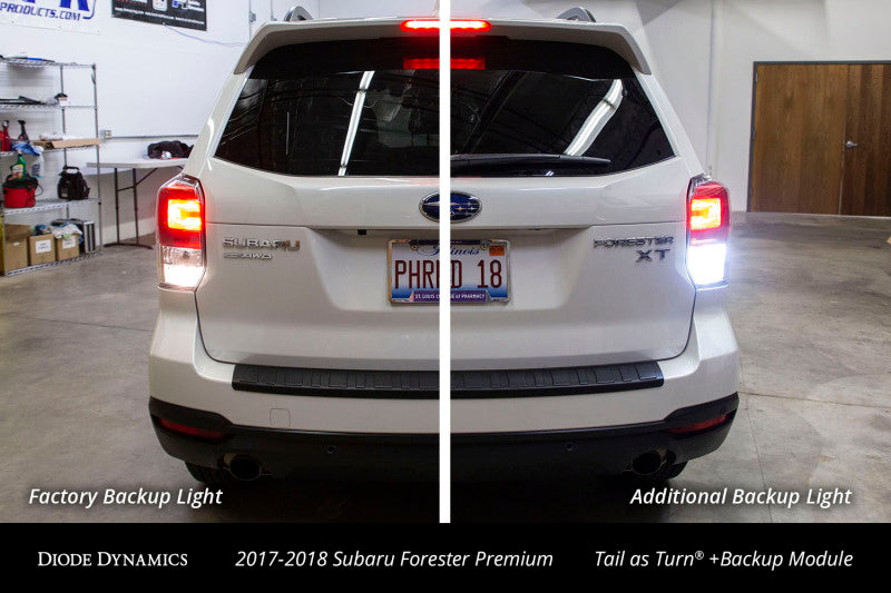 Diode Dynamics 17-18 Subaru Forester Premium (USDM) Tail as Turn +Backup Module Module Only