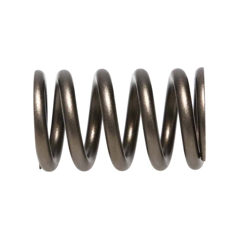 Manley Valve Spring, SPRING-NISSAN PATROL TB48