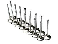 Brian Crower Nissan TB48 34.5mm Exhaust Valves
